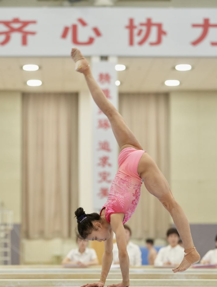 乐鱼体育app官网特色功能详解